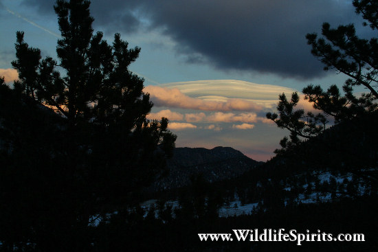 Click Picture to send as an  E-PostCard 64k 550x367